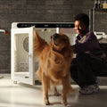 CPlus Pet Dryer Cabin